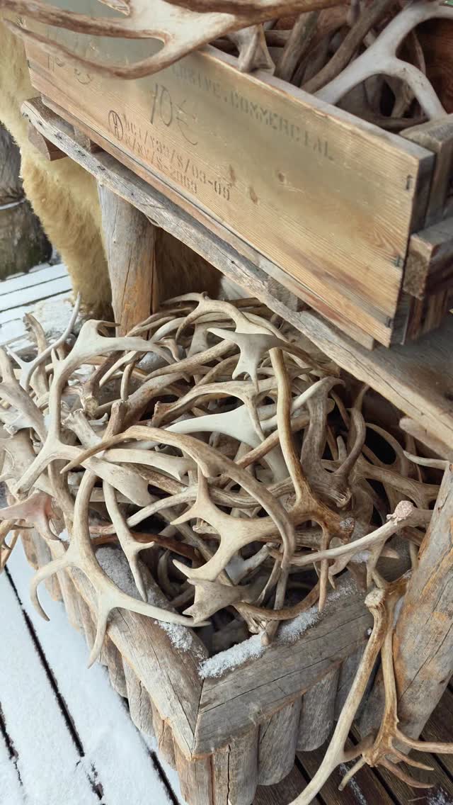 Blink and you’ll miss it… but you really shouldn’t

On the road up North, there’s a place that doesn’t try to impress you… and somehow does exactly that.

Coffee that tastes like a proper break.
Munkki for 0.50€ (yes, really).
Shelves full of things you didn’t know you needed… 

No concept. No design strategy. Just real.

And the owner is the heart of this place.
She's the kind of person who makes you feel like you’ve just arrived at a friend’s place. Where locals meet and travelers take a break. 

Save this for your next Lapland roadtrip 🤍