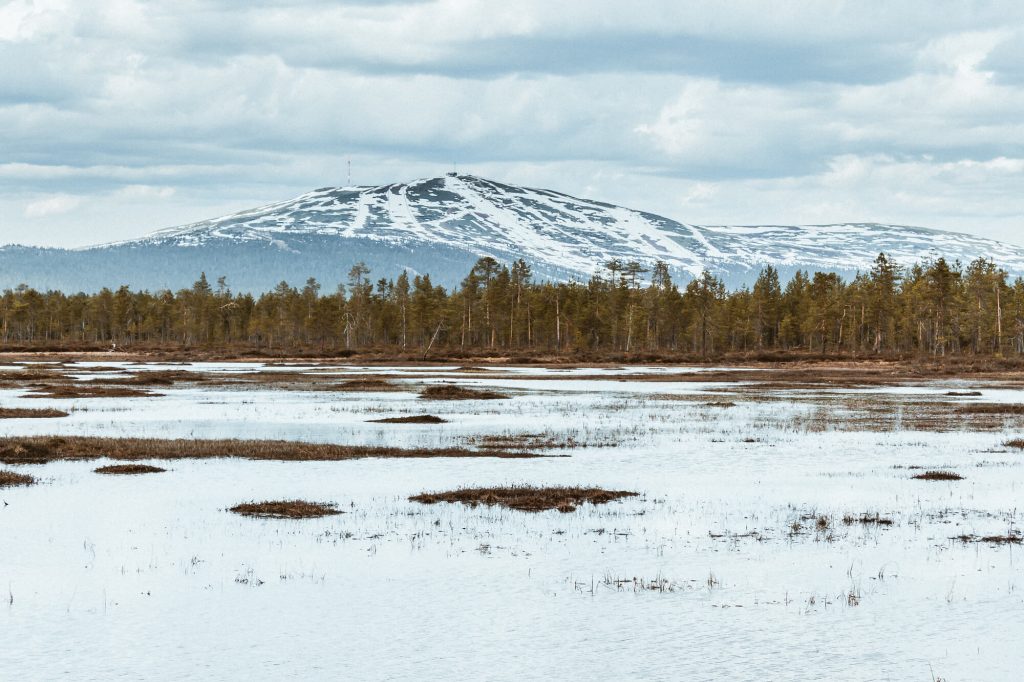 Kontakt Ylläs Lappland Lapland finnomenal