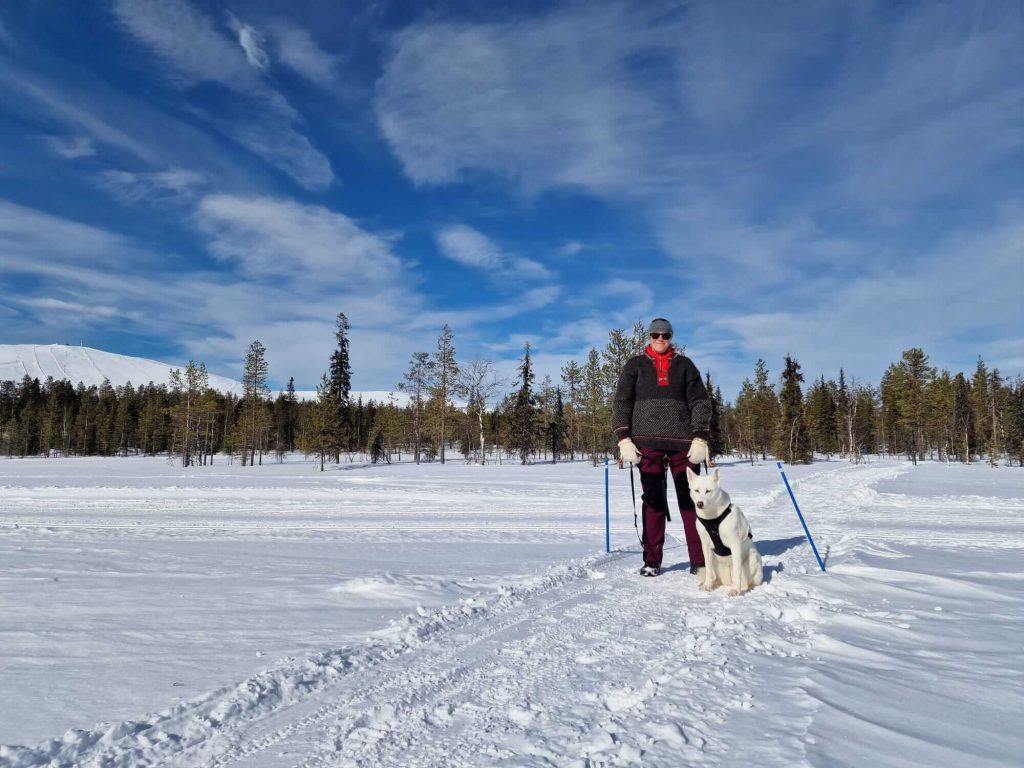Hund in Finnland