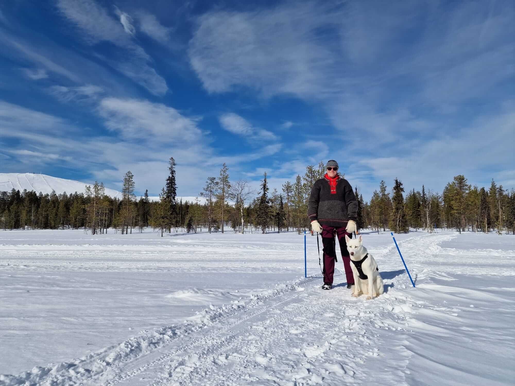 Hund in Finnland