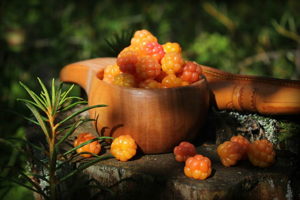 Moltebeeren by Anne Nygard Unsplash