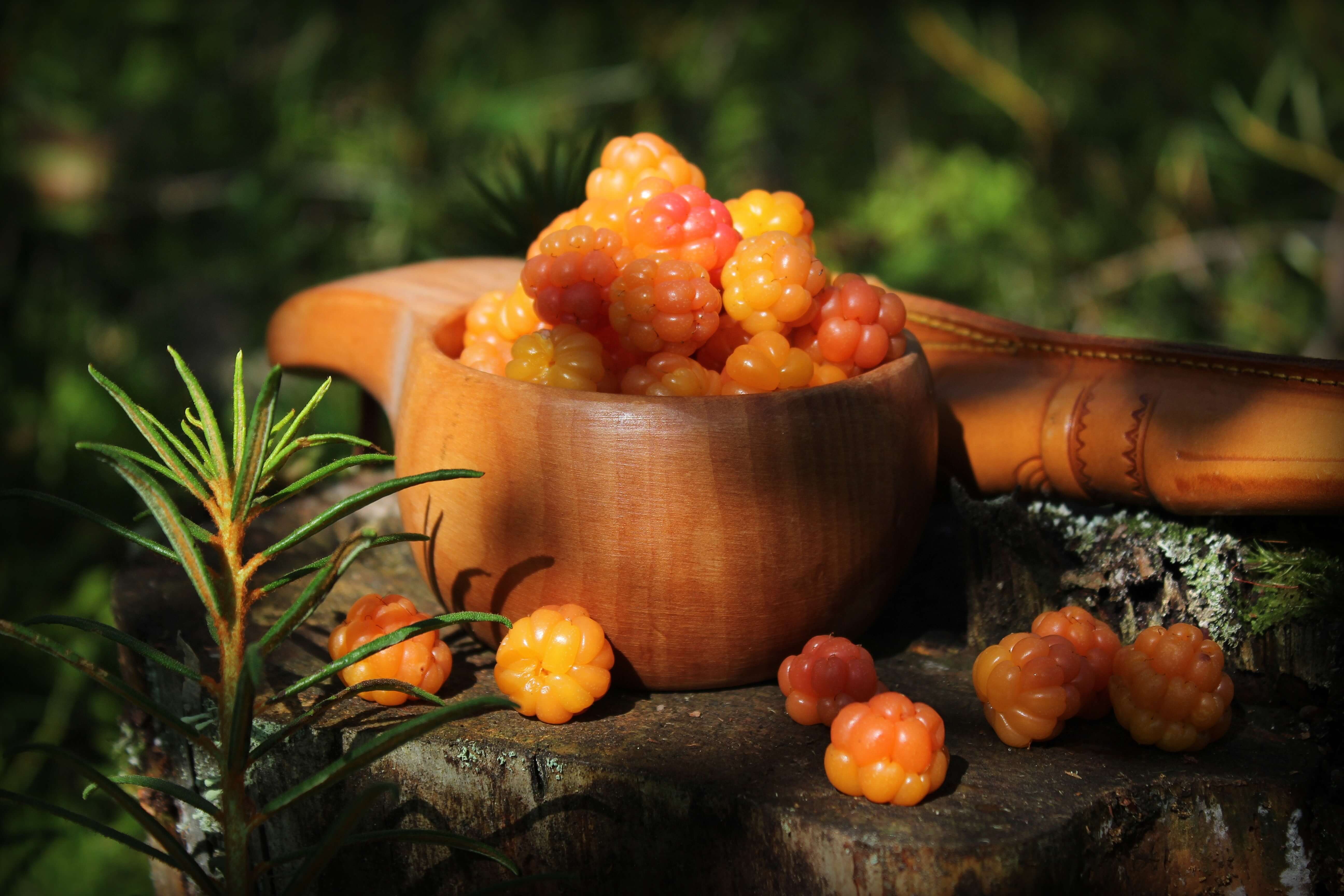 Moltebeeren cloudberries Anne Nygard