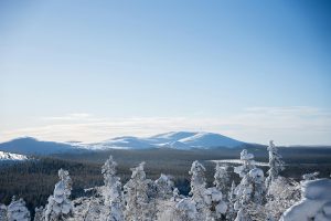 Was kostet eine Reise nach Lappland? How much does a trip to Lapland cost?