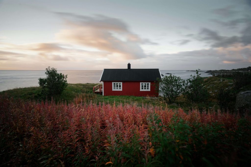 Coolcation workation scandinavian red house in a field of flowers Blockhausurlaub