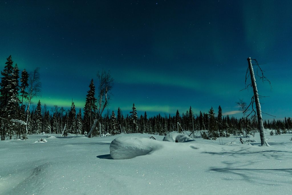 Boutique Journeys February Guided Lapland holidays in Ylläs