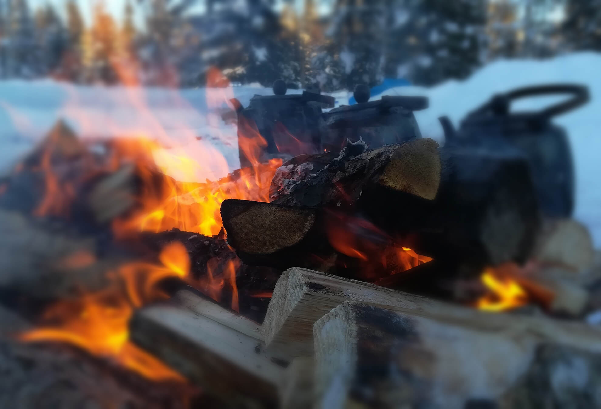 finnomenal newsletter fire coffee pan Persönliche Lappland Erlebnisse in Ylläs