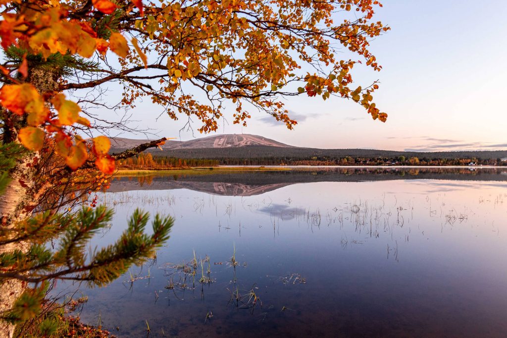 Goldener Herbst in Lappland Ylläs ruska