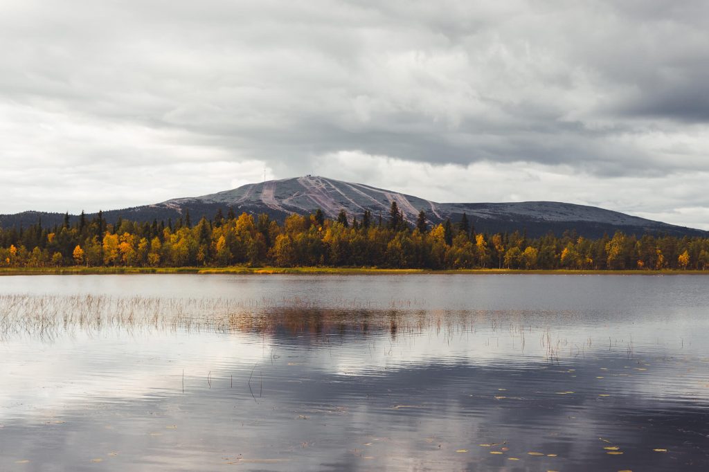 Goldener Herbst in Lappland Ylläs Herbst ruska