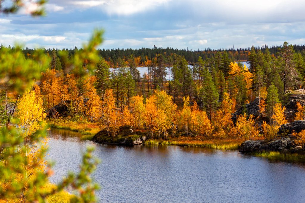 Ruska in Lappland am See