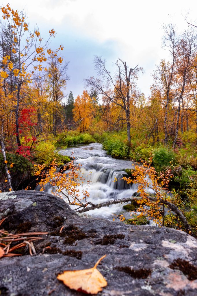 Fluss in den Herbstfarben in Finnisch Lappland