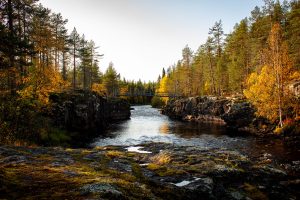 Brücke über einen Fluss im Herbst